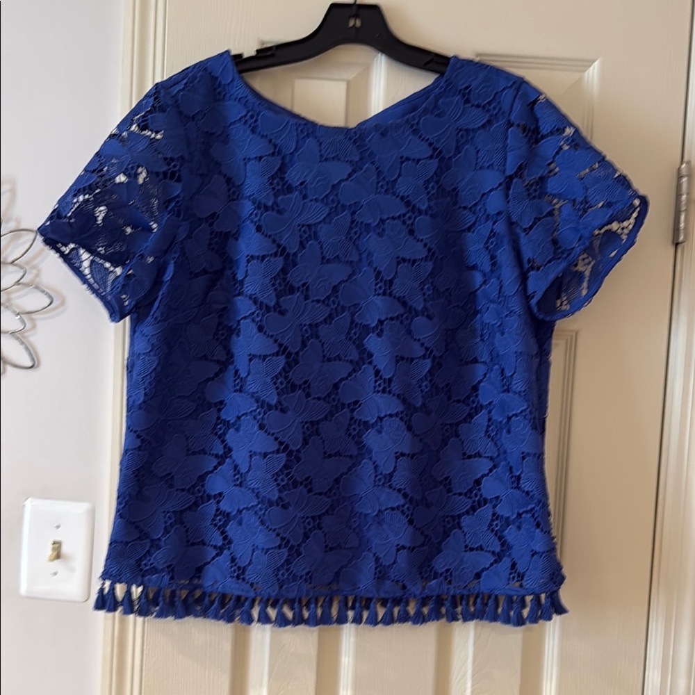 Elegant Blue Lace Women's Top, size 16p
